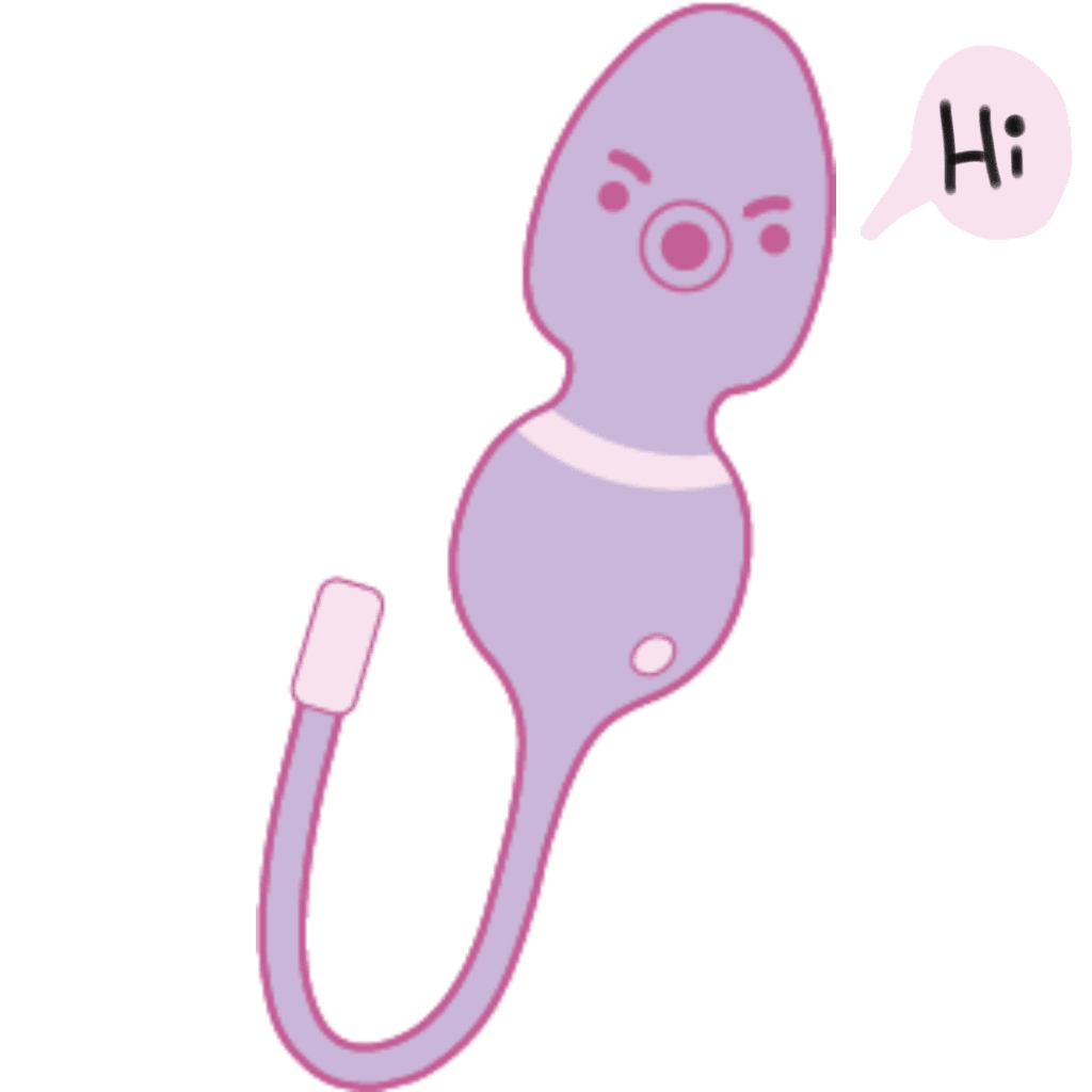 Project 20231006062902 2025